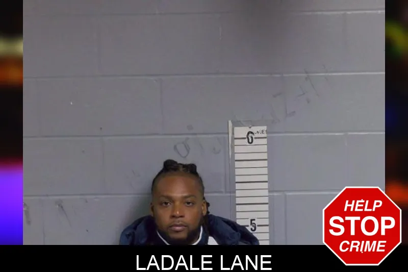 Ladale Lane mugshot – Candler County , Georgia Ladale Lane mugshot