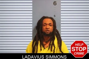 Ladavius Simmons mugshot