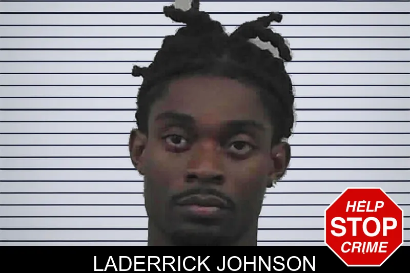 Laderrick Johnson mugshot