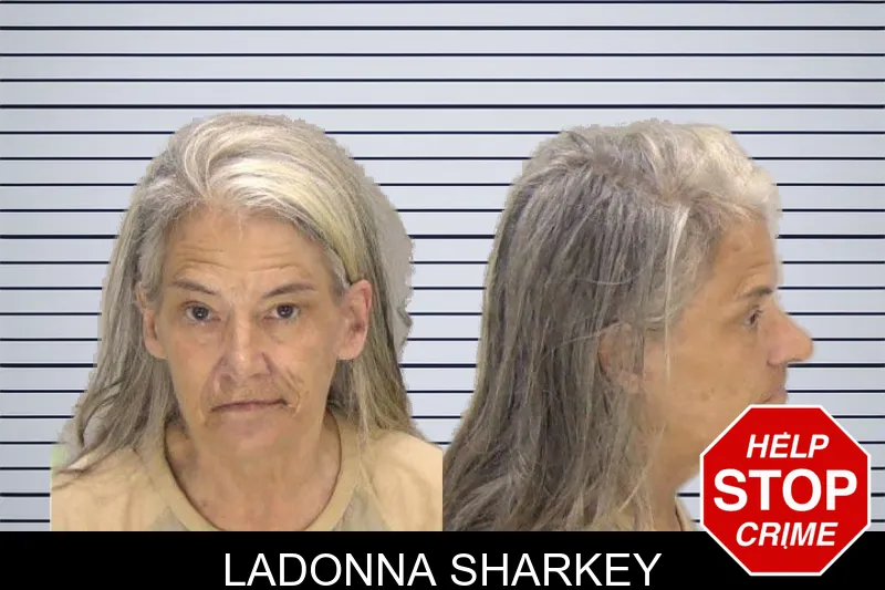 Ladonna Sharkey mugshot