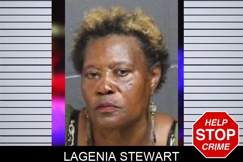 Lagenia Stewart mugshot – Bacon County , Georgia Lagenia Stewart mugshot