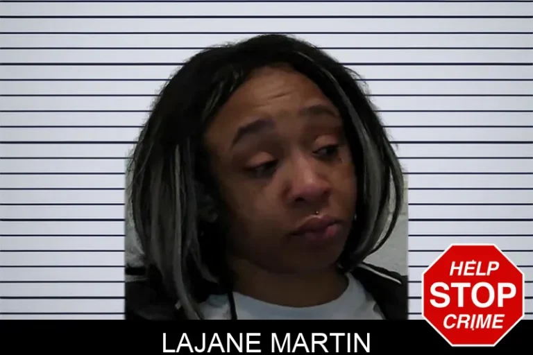 Lajane Martin mugshot – Pierce County , Georgia Lajane Martin