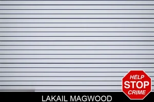 Lakail Magwood mugshot