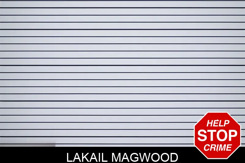 Lakail Magwood mugshot