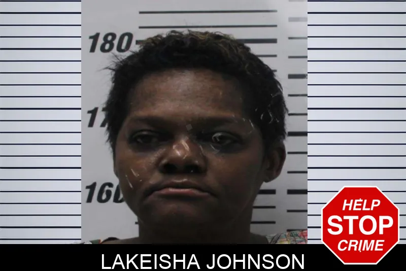 Lakeisha Johnson mugshot