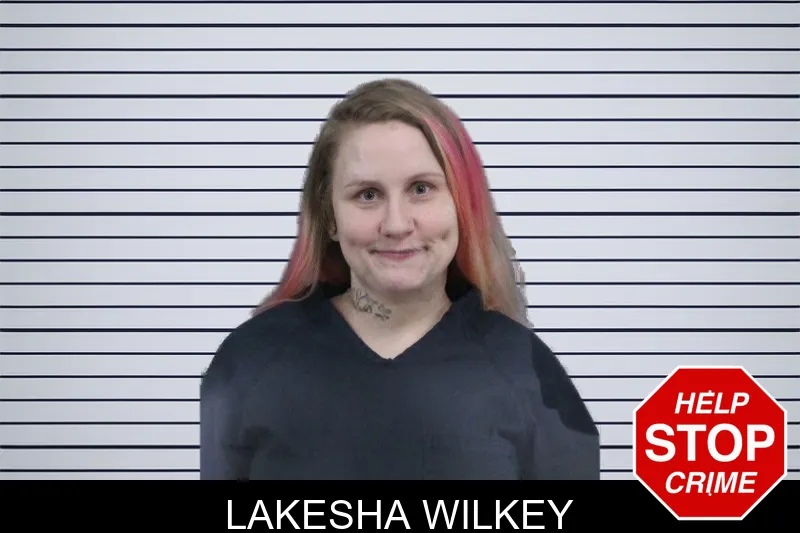 Lakesha Wilkey mugshot