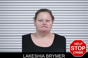 Lakeshia Brymer mugshot