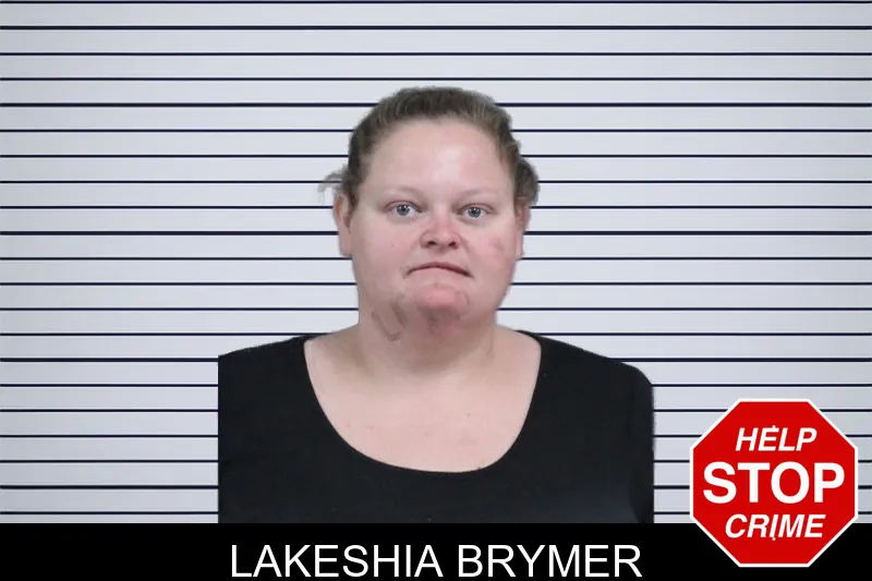 Lakeshia Brymer mugshot