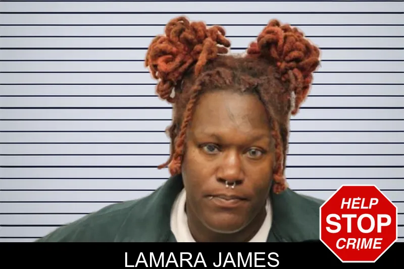Lamara James mugshot