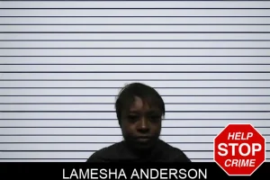 Lamesha Anderson mugshot