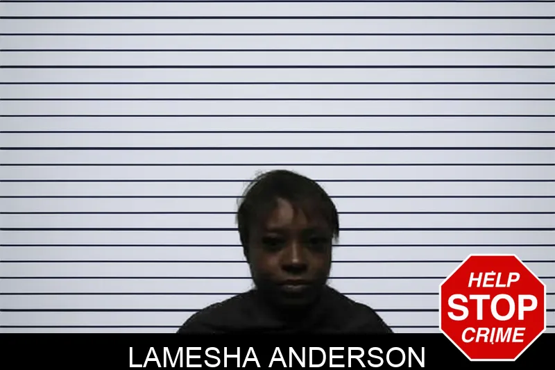Lamesha Anderson mugshot – Pike County , Georgia Lamesha Anderson mugshot