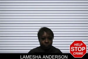 Lamesha Anderson mugshot