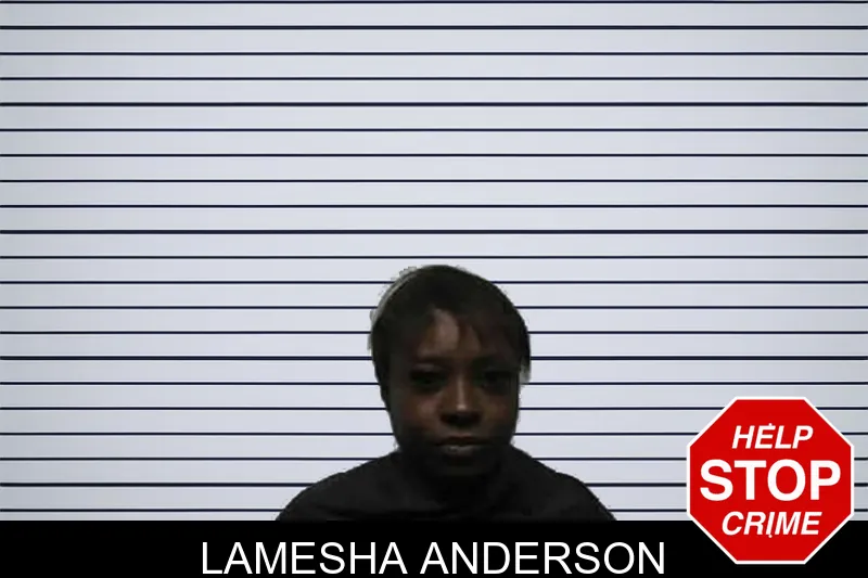Lamesha Anderson mugshot