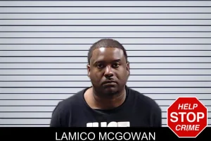 Lamico McGowan mugshot