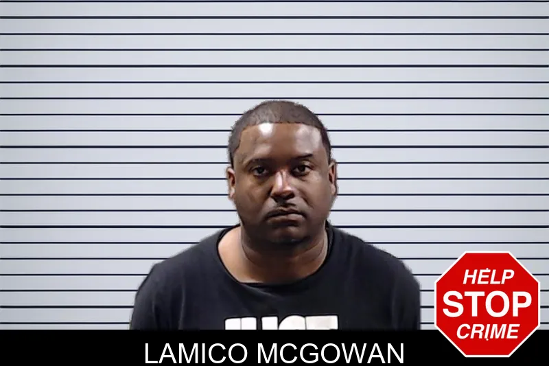 Lamico McGowan mugshot