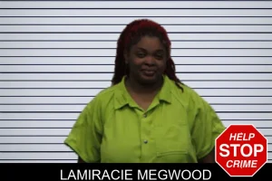 Lamiracie Megwood mugshot