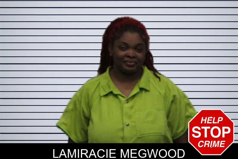 Lamiracie Megwood mugshot