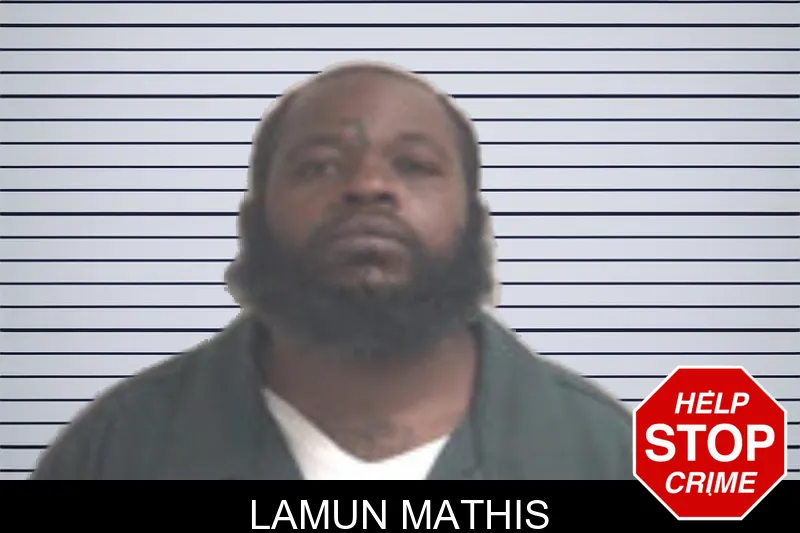 Lamun Mathis mugshot – Henry County , Georgia Lamun Mathis mugshot
