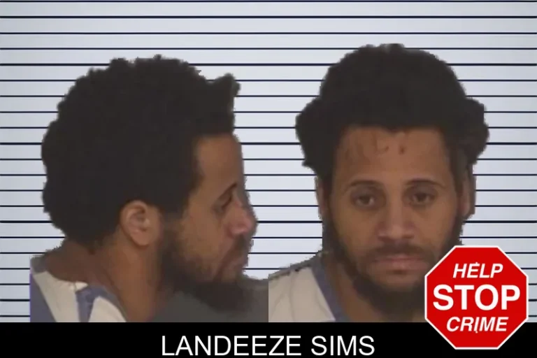 Landeeze Sims