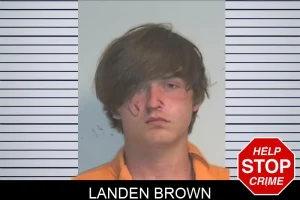 Landen Brown mugshot