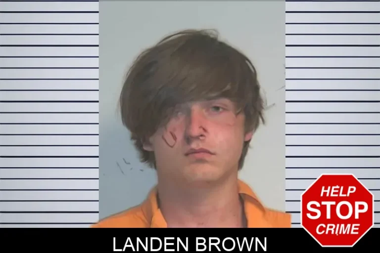 Landen Brown mugshot – Berrien County , Georgia Landen Brown
