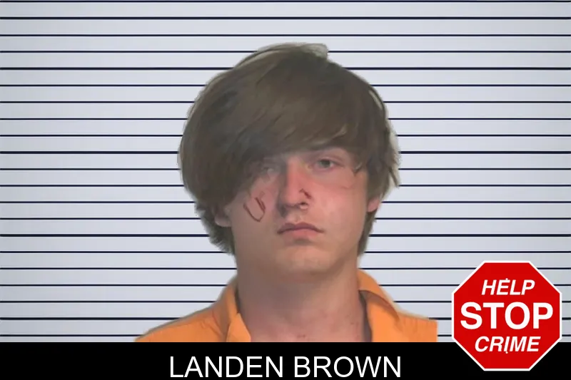 Landen Brown mugshot