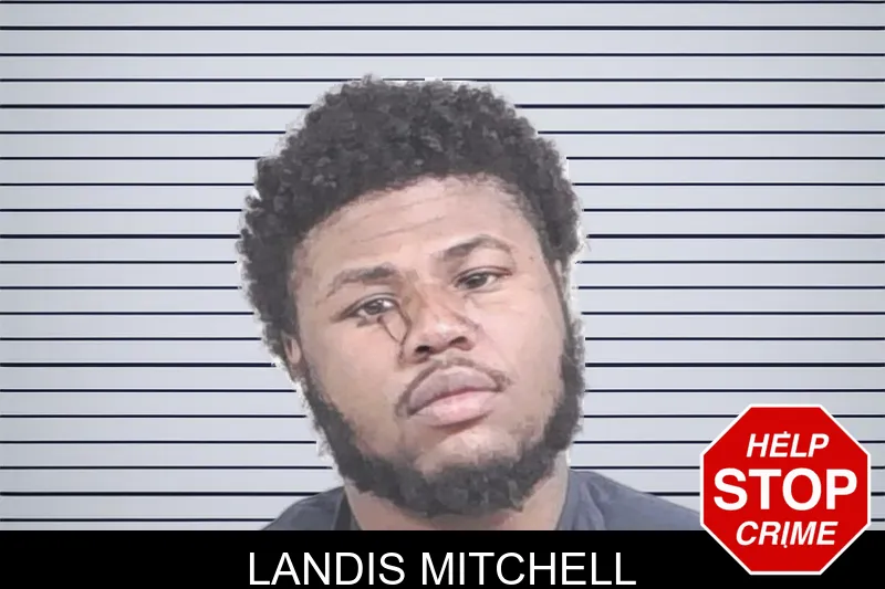 Landis Mitchell mugshot
