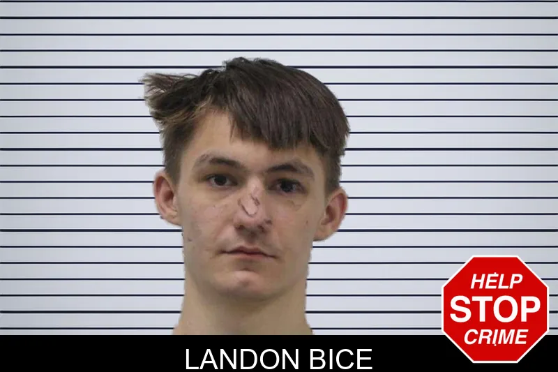 Landon Bice mugshot