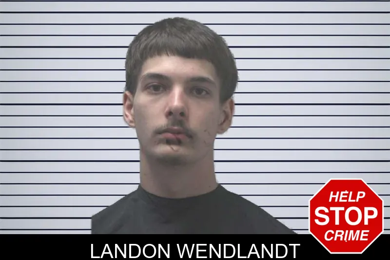 Landon Wendlandt mugshot