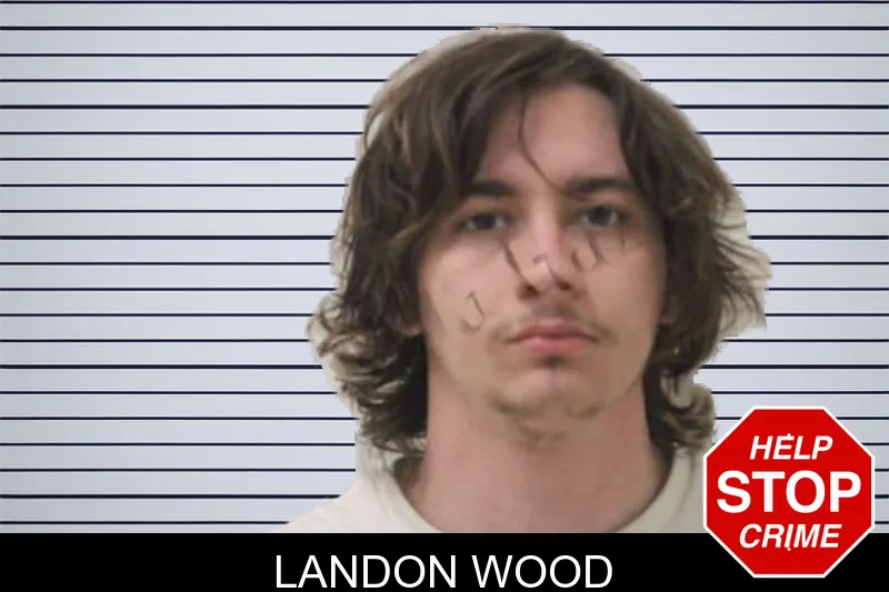 Landon Wood mugshot