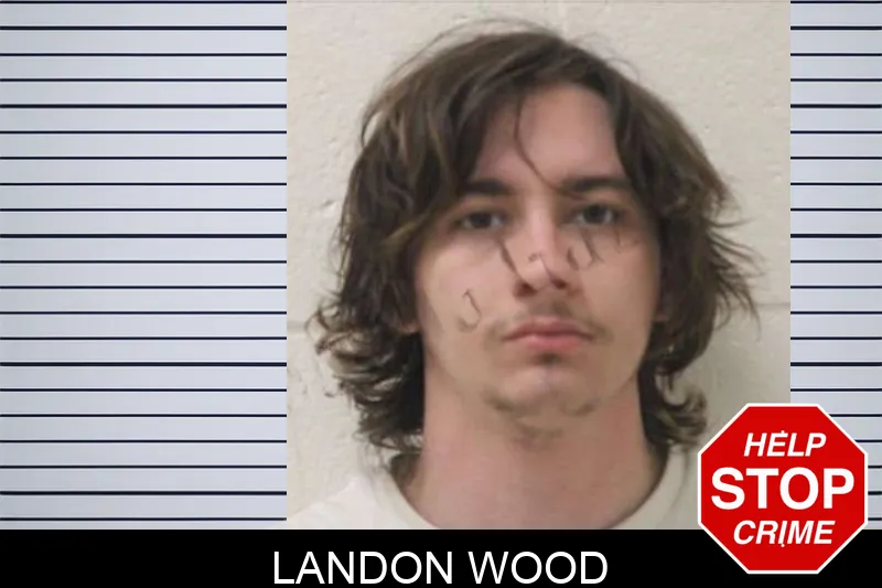 Landon Wood mugshot
