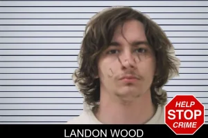 Landon Wood mugshot