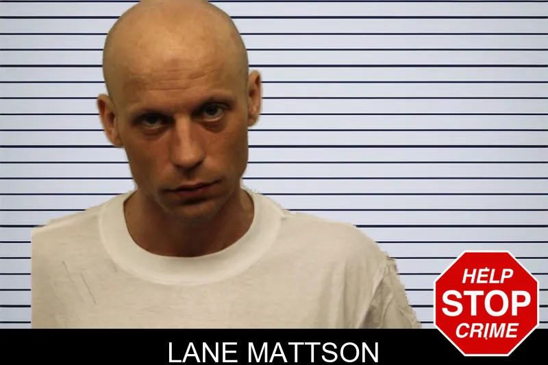 Lane Mattson mugshot