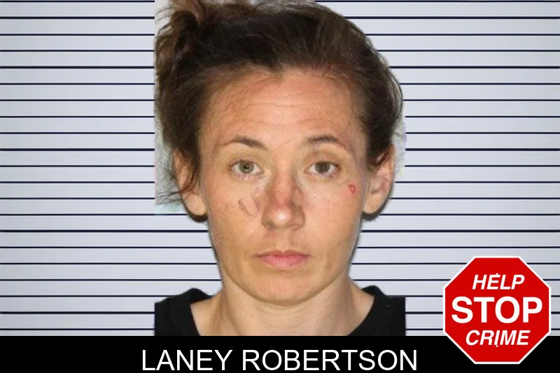 Laney Robertson mugshot