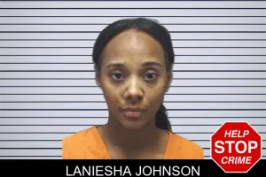 Laniesha Johnson mugshot