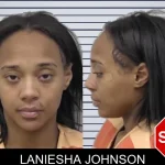 Laniesha Johnson mugshot