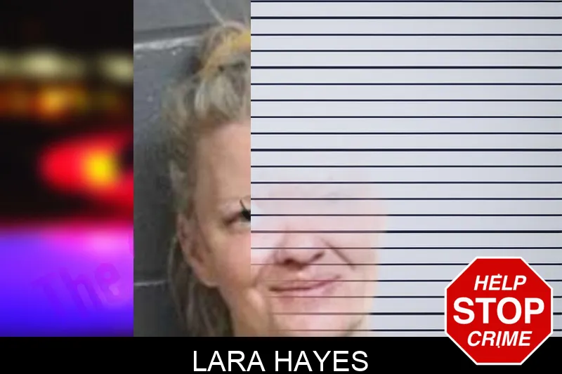 Lara Hayes mugshot