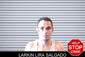 Larkin Lira Salgado mugshot
