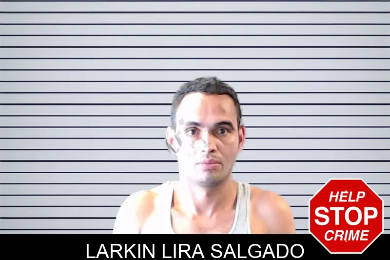 Larkin Lira Salgado mugshot