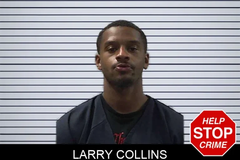 Larry Collins mugshot – Gilmer County , Georgia Larry Collins