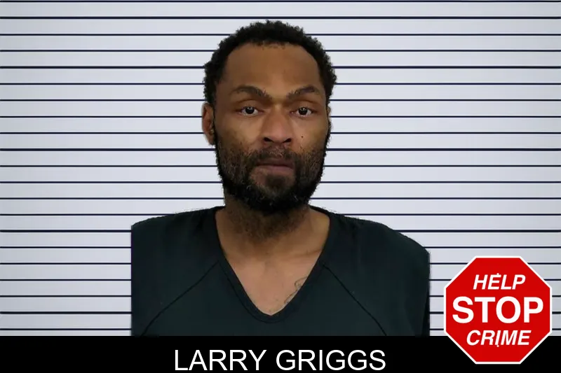 Larry Griggs mugshot