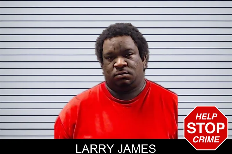 Larry James mugshot