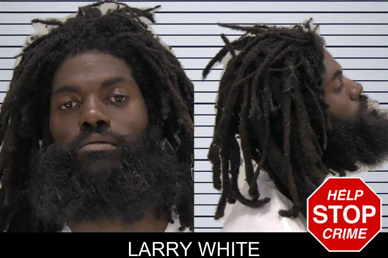 Larry White mugshot