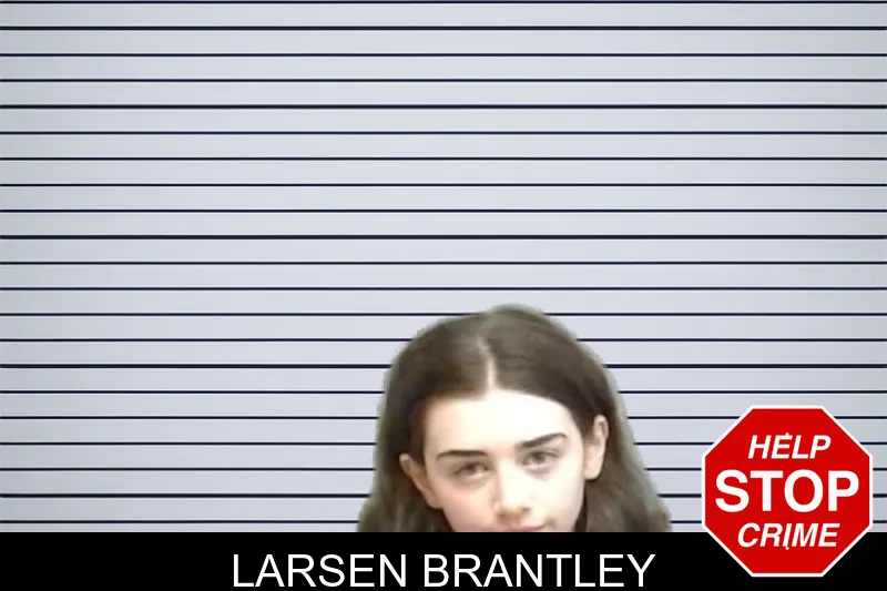 Larsen Brantley mugshot