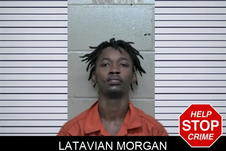 Latavian Morgan