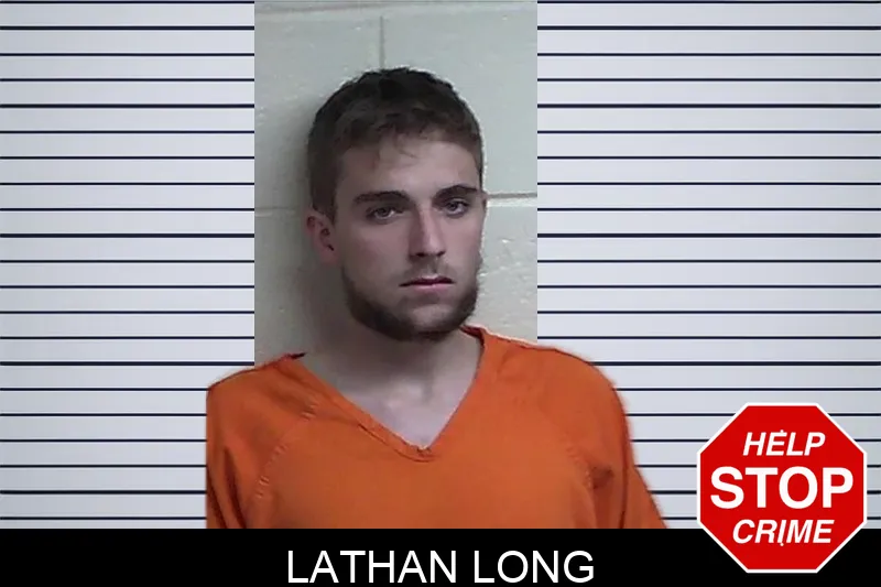 Lathan Long mugshot – Fannin County , Georgia Lathan Long mugshot