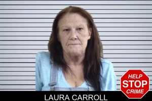 Laura Carroll mugshot