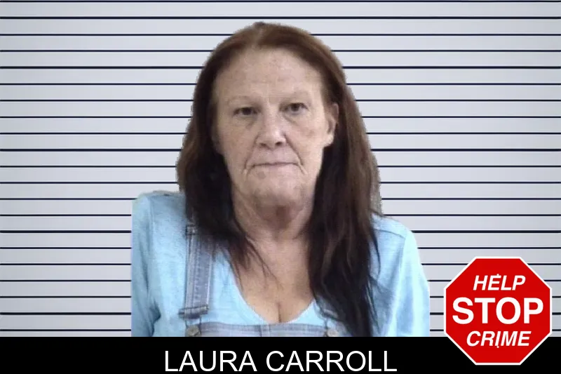 Laura Carroll mugshot