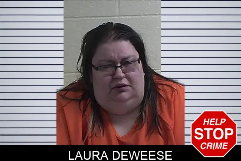 Laura Deweese mugshot – Fannin County , Georgia Laura Deweese