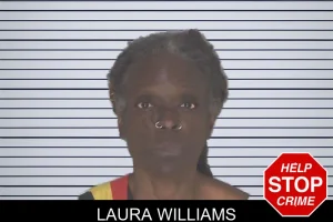 Laura Williams mugshot